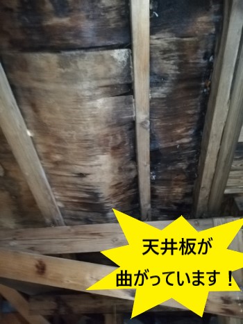 天井板　曲がっている